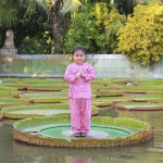 Ngày Tết năm mới 2020 về miền Tây ngồi thiền lá sen Chùa Phước Kiển hay chùa Lá Sen là ngôi chùa nhỏ được thành lập trước thời vua Thiệu Trị.