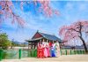 BenThanh Tourist giới thiệu tour ngắm hoa xuân Hàn Quốc Du khách đến Hàn Quốc du xuân.