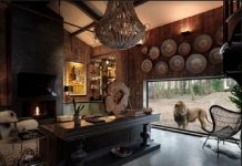 Ngủ qua đêm cùng sư tử, hổ: Trải nghiệm độc lạ có một không hai Ngủ qua đêm cùng sư tử, hổ: Trải nghiệm độc lạ có một không hai - 1