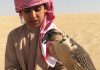 Di sản săn bắt bằng chim ưng trên sa mạc ở UAE Di san san bat bang chim ung tren sa mac o UAE hinh anh 1 1.jpg