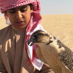 Di sản săn bắt bằng chim ưng trên sa mạc ở UAE Di san san bat bang chim ung tren sa mac o UAE hinh anh 1 1.jpg
