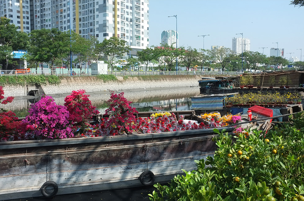 Người Sài Gòn đi chợ hoa Bến Bình Đông 2020: Hoa tươi, người bán “héo” - ảnh 4