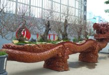 Chiêm ngưỡng chậu đào cổ hình rồng ‘khổng lồ’ giá 1,5 tỉ đồng "Long quyển ngũ hành sơn" là tác phẩm nghệ thuật độc đáo với "chậu" đào khổng lồ hình rồng dài hơn 8m, nặng hơn 9 tấn. /// Ảnh: Giang Ngọc