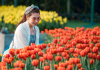 Cánh đồng hoa tulip bung nở ở Bà Nà polyad