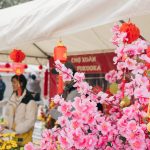 Thành phố ở Nhật Bản rộn ràng đón Tết cổ truyền Việt Nam Thanh pho o Nhat Ban ron rang don Tet co truyen Viet Nam hinh anh 1 46Long_20.jpg