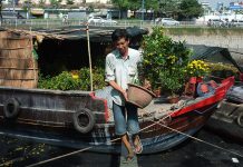 Người Sài Gòn đi chợ hoa Bến Bình Đông 2020: Hoa tươi, người bán “héo” Vận chuyển hoa từ thuyền lên bờ trông rất ngoạn mục, như "đu xiếc" vì cây cầu lắt lẻo. /// Giang Vũ