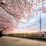Du lịch Tokyo một ngày bằng Tokyo Metro polyad