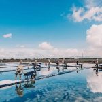 Đến Nha Trang, Khánh Hòa mà không ghé cánh đồng muối trắng này quả là tiếc