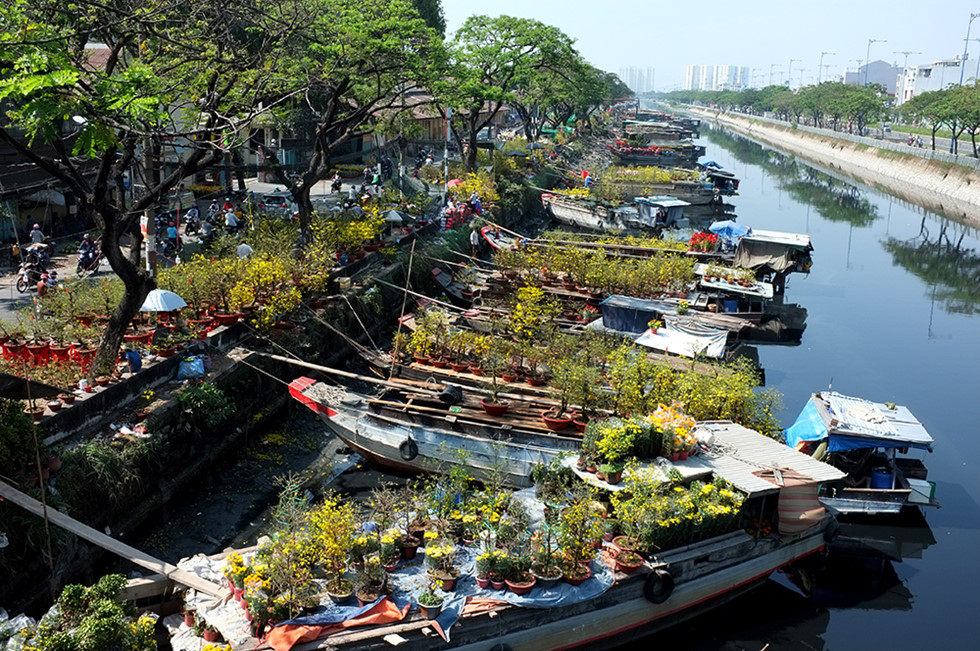Người Sài Gòn đi chợ hoa Bến Bình Đông 2020: Hoa tươi, người bán “héo” - ảnh 1