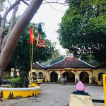 Huyền thoại về ba cây thị hơn 200 năm tuổi ở Côn Đảo Huyền thoại về ba cây thị hơn 200 năm tuổi ở Côn Đảo