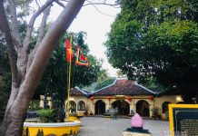 Huyền thoại về ba cây thị hơn 200 năm tuổi ở Côn Đảo Huyền thoại về ba cây thị hơn 200 năm tuổi ở Côn Đảo