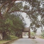 Điểm mặt chỉ tên những địa điểm check in cuối tuần đình đám gần Hà Nội