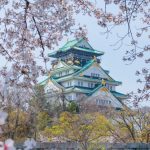 Thế giới qua ống kính của lập trình viên Thành Osaka Nhật Bản - mùa hoa sakura cuối cùng của năm Heisei. Ảnh: Vũ Văn Lâm.