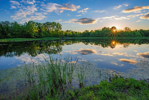 Khu săn bắn thuộc khu bảo tồn Weldon Spring, Missouri Mỹ. Đây là một trong những nhóm hồ câu cá được nhiều người câu nhất ở thành phố O’Fallon. Ảnh: Huỳnh Vũ Đông Nguyên