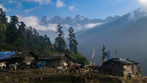 Hanh trinh chinh phuc va khoanh khac an tuong tren day Himalaya hinh anh 2