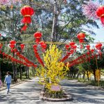 Ngày cận Tết ở Mũi Cà Mau Ngày cận Tết ở Mũi Cà Mau