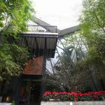 Quán cà phê xanh trong căn biệt thự liền kề Quán cà phê xanh trong căn biệt thự liền kề