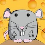 Điểm đến phù hợp với 12 con giáp năm 2020 Điểm đến phù hợp với 12 con giáp năm 2020