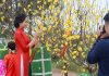 Tết sớm ở làng trồng bưởi Tiến Vua Tết Phố - Đón Tết Nguyên đán đậm văn hoá Hà Nội