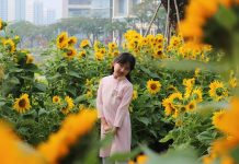 Người Sài Gòn nhẹ nhàng ở đường hoa Phú Mỹ Hưng Tết Canh Tý 2020 Bé gái e ấp trong tà áo dài tại đường hoa hướng dương /// Ảnh: Trịnh Thanh