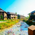 Về miền Tây vi vu Tết Canh Tý, thư thái ‘chốn cảnh tiên’ đẹp ngỡ ngàng “Làng cổ tích” bên dòng sông Ba Láng /// Duy Tân