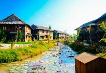 Về miền Tây vi vu Tết Canh Tý, thư thái ‘chốn cảnh tiên’ đẹp ngỡ ngàng “Làng cổ tích” bên dòng sông Ba Láng /// Duy Tân