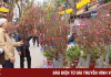 Nồng nàn vị Tết ở chợ hoa lâu đời nhất Hà Nội