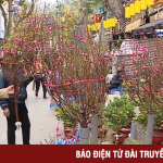 Nồng nàn vị Tết ở chợ hoa lâu đời nhất Hà Nội