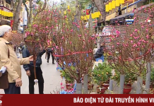 Nồng nàn vị Tết ở chợ hoa lâu đời nhất Hà Nội
