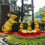 Hội hoa xuân lớn nhất Sài Gòn Hội hoa xuân lớn nhất Sài Gòn