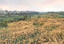 3 địa điểm check-in thu hút giới trẻ Hà Nội những ngày cuối năm 3 dia diem check-in thu hut gioi tre Ha Noi nhung ngay cuoi nam hinh anh 1