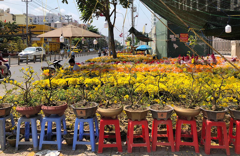 Người Sài Gòn đi chợ hoa Bến Bình Đông 2020: Hoa tươi, người bán “héo” - ảnh 14