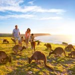Các địa điểm trên đảo Kangaroo phải đóng cửa vì thảm họa cháy rừng