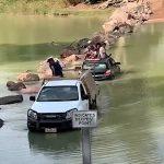 Khách trèo lên nóc xe vì sợ cá sấu Khách trèo lên nóc xe vì sợ cá sấu