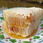 Ngày Tết về miền Tây đi kiếm mật ong rừng U Minh, ăn tàng ong Ăn mật ong trực tiếp từ tàng ong rừng ngon vô cùng. /// Ảnh: Đỗ Suốt Anh