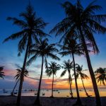 Cảnh sắc đắm say ở vùng đất phía tây nam Tổ quốc Canh sac dam say o vung dat phia tay nam To quoc hinh anh 1