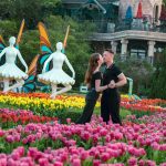 Không cần đến Hà Lan, Bà Nà có cả thiên đường hoa tulip mùa xuân này Khong can den Ha Lan, Ba Na co ca thien duong hoa tulip mua xuan nay hinh anh 1 Le_hoi_hoa_tulip_Ba_Na_195_.jpg