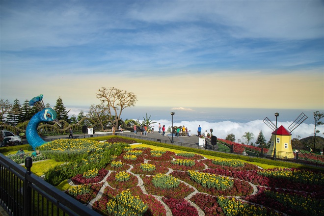 Goc Ha Lan ruc ro sac hoa trong long Da Nang hinh anh 5 Le_hoi_hoa_tulip_Sun_World_Ba_Na_Hills_5_.jpg