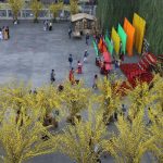 Sắc mai vàng rực tại Lễ hội Tết Việt xuân Canh Tý Sắc mai vàng rực tại Lễ hội Tết Việt xuân Canh Tý - Ảnh 1.