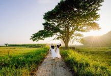 Hậu ‘Mắt biếc’, tour du lịch phim trường thú vị cỡ nào? Cây vông đồng trong phim Mắt biếc đã trở thành địa điểm chụp hình hấp dẫn của du khách. /// Ảnh: Kelvin Long