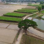 Phim trường ‘Mắt Biếc’ thành điểm tham quan Phim trường 'Mắt Biếc' thành điểm tham quan