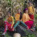 Sắc màu mùa xuân trên khắp Việt Nam Sắc màu mùa xuân trên khắp Việt Nam