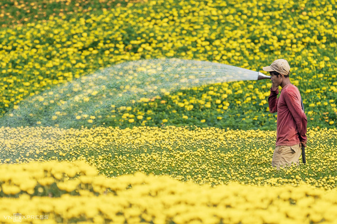 Sắc màu mùa xuân trên khắp Việt Nam