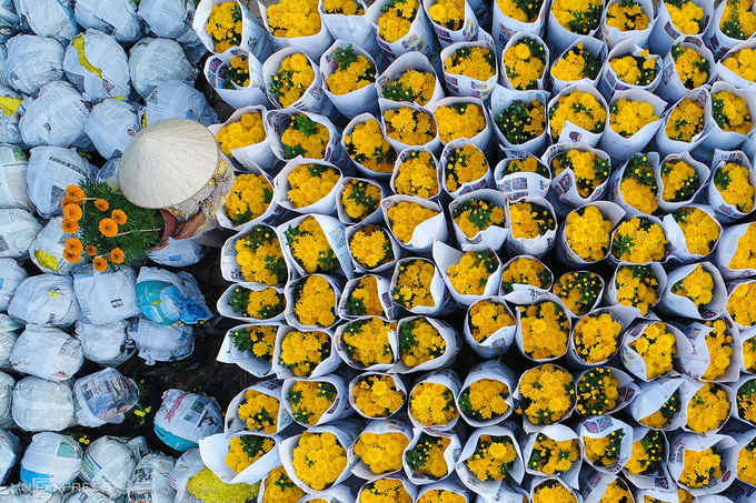 Sắc màu mùa xuân trên khắp Việt Nam