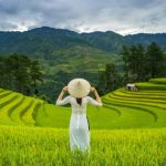 CNBC của Mỹ chọn Mù Cang Chải là điểm đến năm 2020 cho du khách quốc tế Mù Cang Chải, Việt Nam /// Ảnh: chụp màn hình hãng CNBC