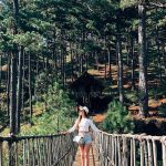 Trải nghiệm 4 cây cầu dây treo giữa lòng Đà Lạt Trai nghiem 4 cay cau day treo giua long Da Lat hinh anh 1 nha1.jpg