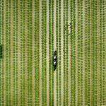 Phong cảnh Việt Nam nhìn từ trên cao Phong cảnh Việt Nam nhìn từ trên cao