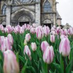 Khỏi đau đầu nghĩ chốn ăn chơi Tết, cứ đến Sun World là vui ngất ngây Khỏi đau đầu nghĩ chốn ăn chơi Tết, cứ đến Sun World là vui ngất ngây - Ảnh 1.