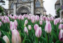 Khỏi đau đầu nghĩ chốn ăn chơi Tết, cứ đến Sun World là vui ngất ngây Khỏi đau đầu nghĩ chốn ăn chơi Tết, cứ đến Sun World là vui ngất ngây - Ảnh 1.