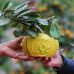 Người Việt dành trung bình bao nhiêu tiền để sắm Tết? Nguoi Viet danh trung binh bao nhieu tien de sam Tet? hinh anh 1 quat_6_zing.jpg